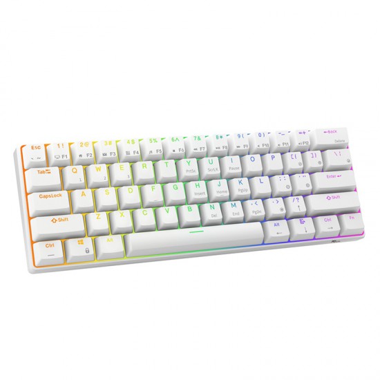 (KEYBOARD) Royal Kludge RK61 White RGB Backlight Blue Switch Tri-Mode Mechanical Gaming