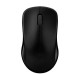 (Mouse) Rapoo MS1620 Black Wireless Optical Mouse