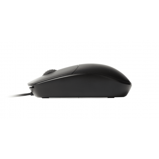 (Mouse) Rapoo N100 Black Optical Mouse