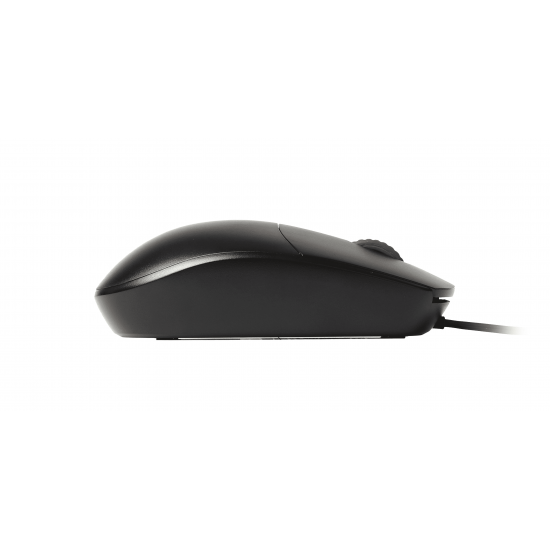 (Mouse) Rapoo N100 Black Optical Mouse