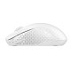 (Mouse) Rapoo M20 Wireless Optical Mouse