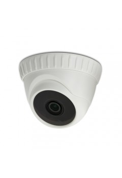 CCTV CAMERA AVTech 1/3" Color Dome IR Camera (KPC133ZEWP)