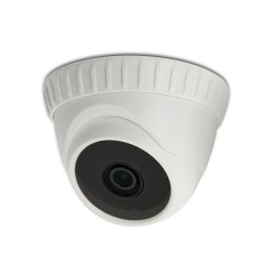 CCTV CAMERA AVTech 1/3" Color Dome IR Camera (KPC133ZEWP)