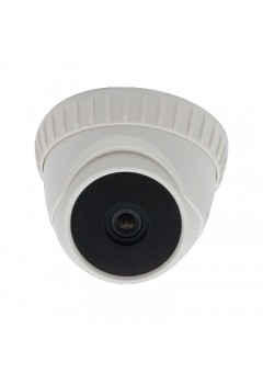 CCTV CAMERA AVTech 1/3" Color Dome IR Camera (KPC133ZEWP)