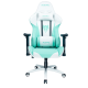 เก้าอี้คอมพิวเตอร์ เก้าอี้ Nubwo NBCH-07 White/Mint Green Gaming Seat Chair Caster Edition (21241) (ขาเหล็ก) สามารถออกใบกำกับภาษีได้