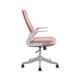 เก้าอี้สำนักงาน Deli DLI-91106 (Pink) Staff Chair (เก้าอี้พนักงาน) สามารถออกใบกำกับภาษีได้