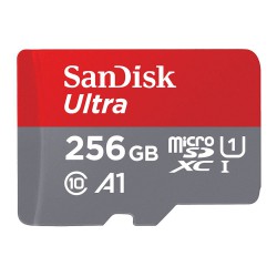 MEMORY MICRO SD SANDISK 256 Gb Ultra 120Mb/s FullHD Class10(SDSQUA4-256G-GN6MN) No Adapter